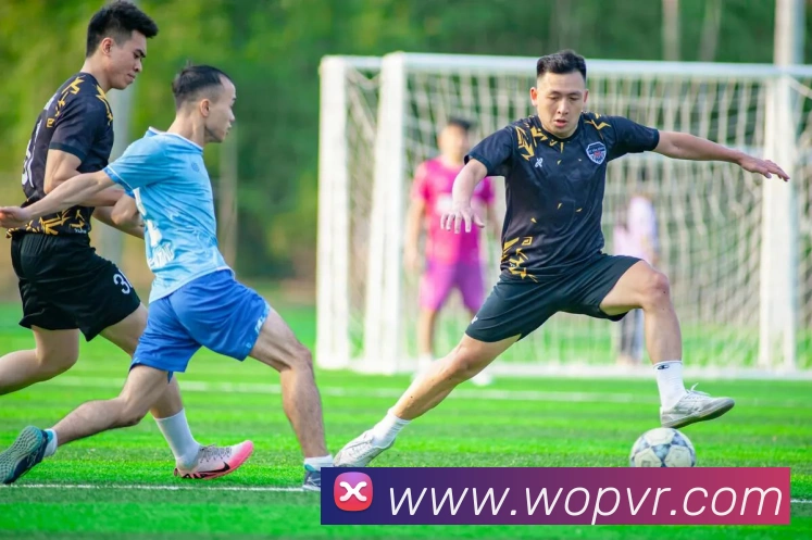 mksports体育平台生态图